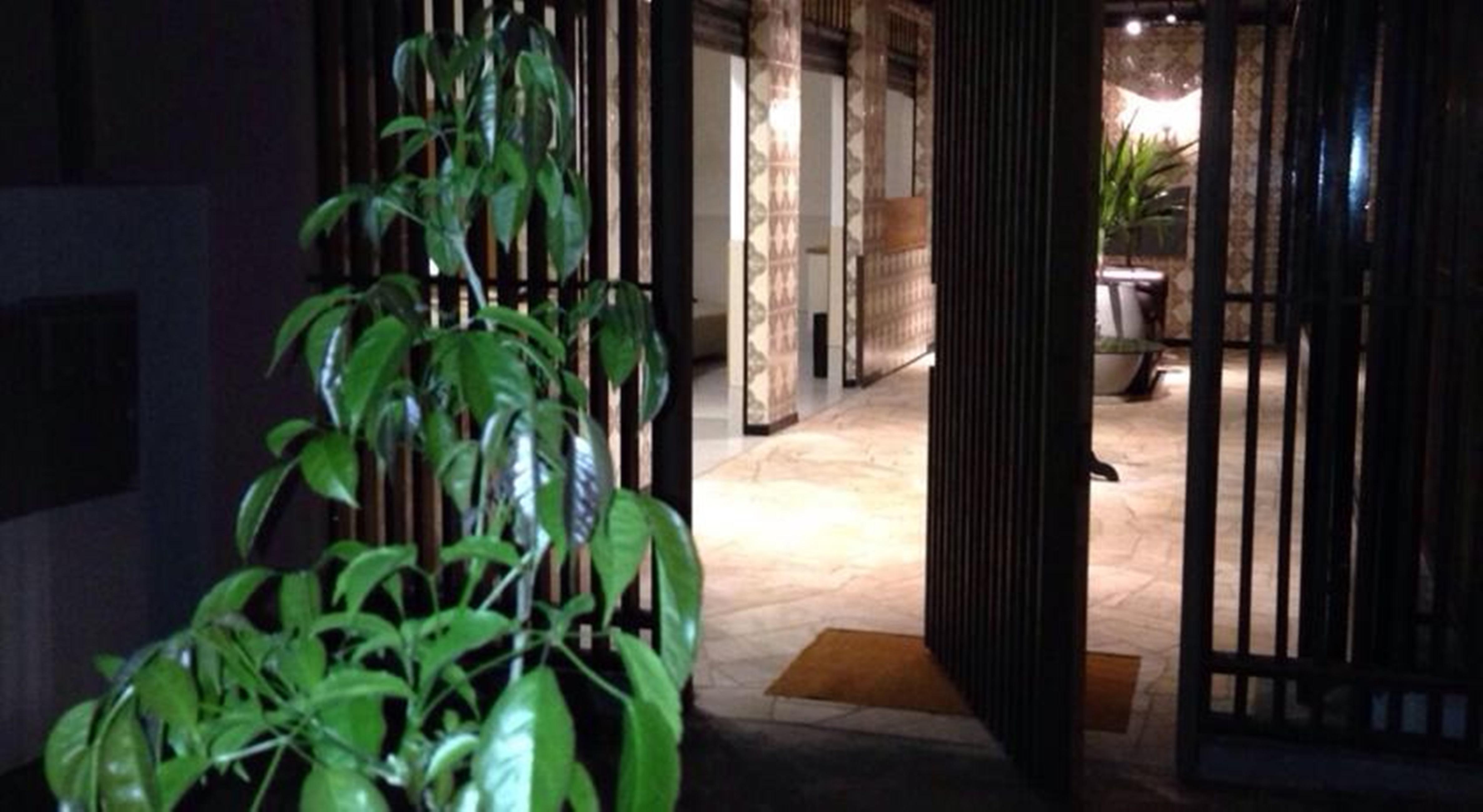 Vespasiano Hotel Telêmaco Borba Exteriér fotografie